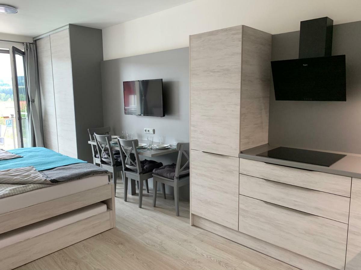 Apartman Denisa リプノ・ナト・ヴルタヴォウ エクステリア 写真