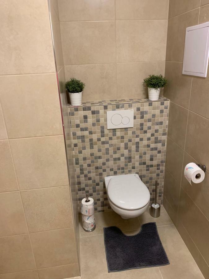 Apartman Denisa リプノ・ナト・ヴルタヴォウ エクステリア 写真